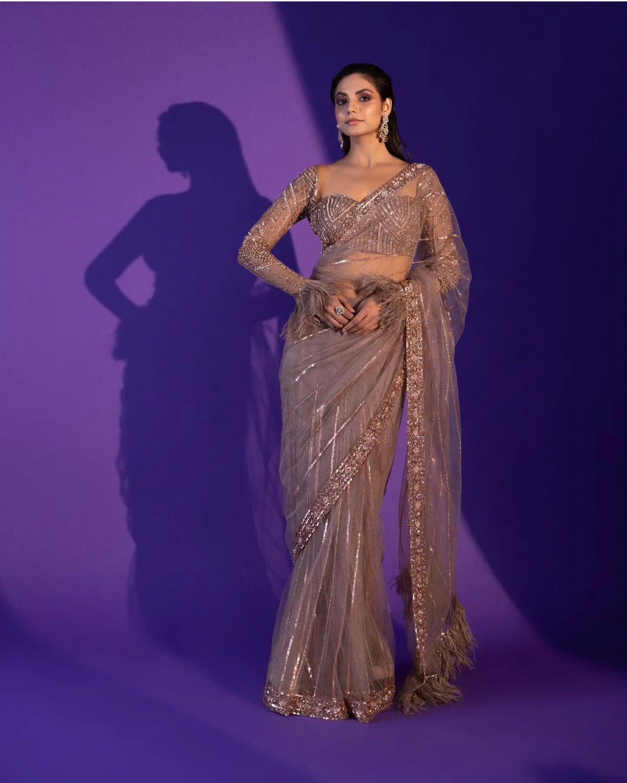 Brown Net Saree with Sequins Zari Work & Blouse